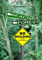 Post image for Judicial Fight Freezes Beach Developments