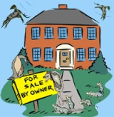Post image for Have the Rats and Vultures Got a Deal For You!