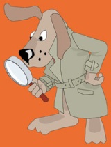 Post image for Clues in Land Fraud Cases Gaining More Importance