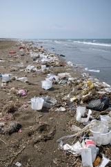 Post image for Trash and littering have become major problems