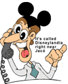 A crazy-eyed salesman wearing Mickey Mouse ears claims "It's called Disneylandia right near Jaco"