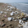 Thumbnail image for Trash and littering have become major problems